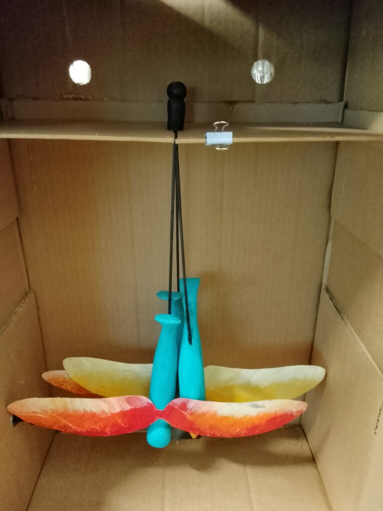 Fini, les oiseaux en boite.